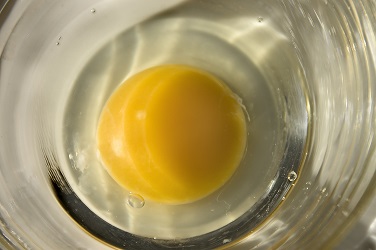 nutrient-composition-of-one-raw-egg